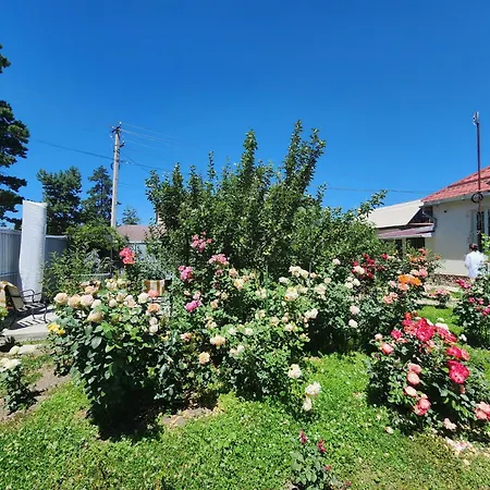 In The Centre Of Karakol Hostel Gebze